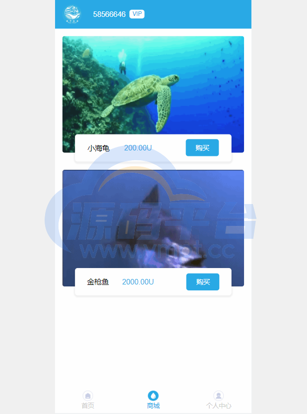 图片[4]-USDT理财系统/USDT投资源码/虚拟币静态收益/区块链源码 - 源码平台网-源码平台网