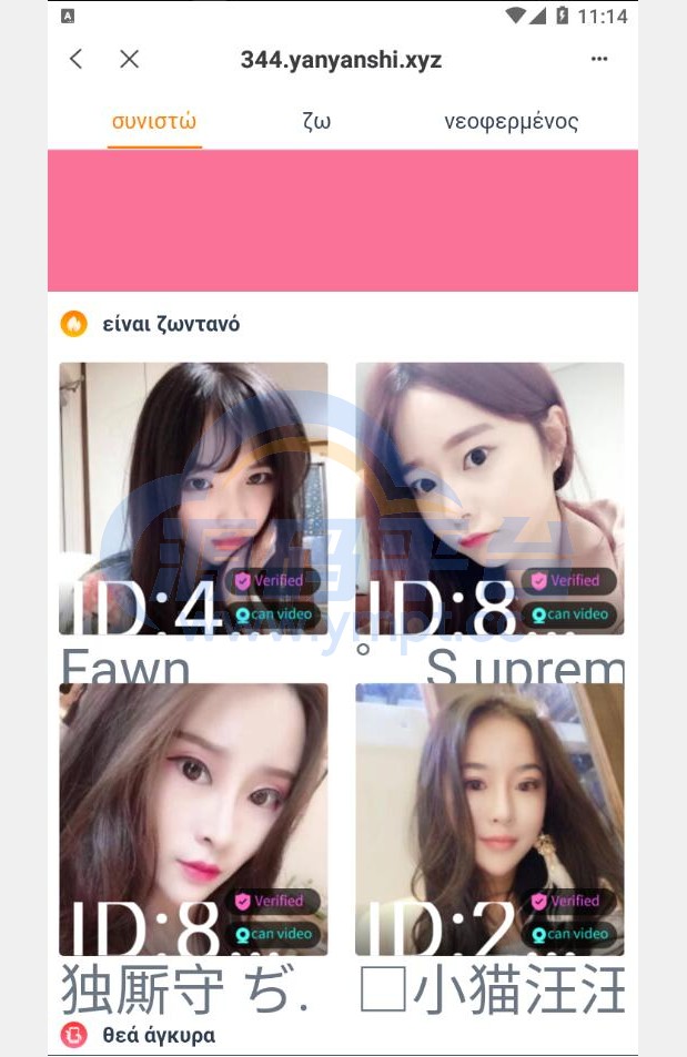 图片[5]-全新4链盗U系统/usdt授权秒U源码/usdt钱包盗U源码 - 源码平台-源码平台